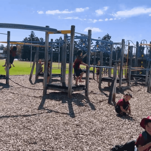 小朋友在紐西蘭和同學一起玩